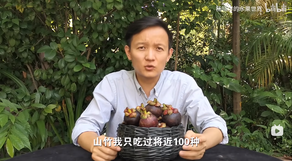 山竹.png